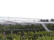 2009-06-21-1