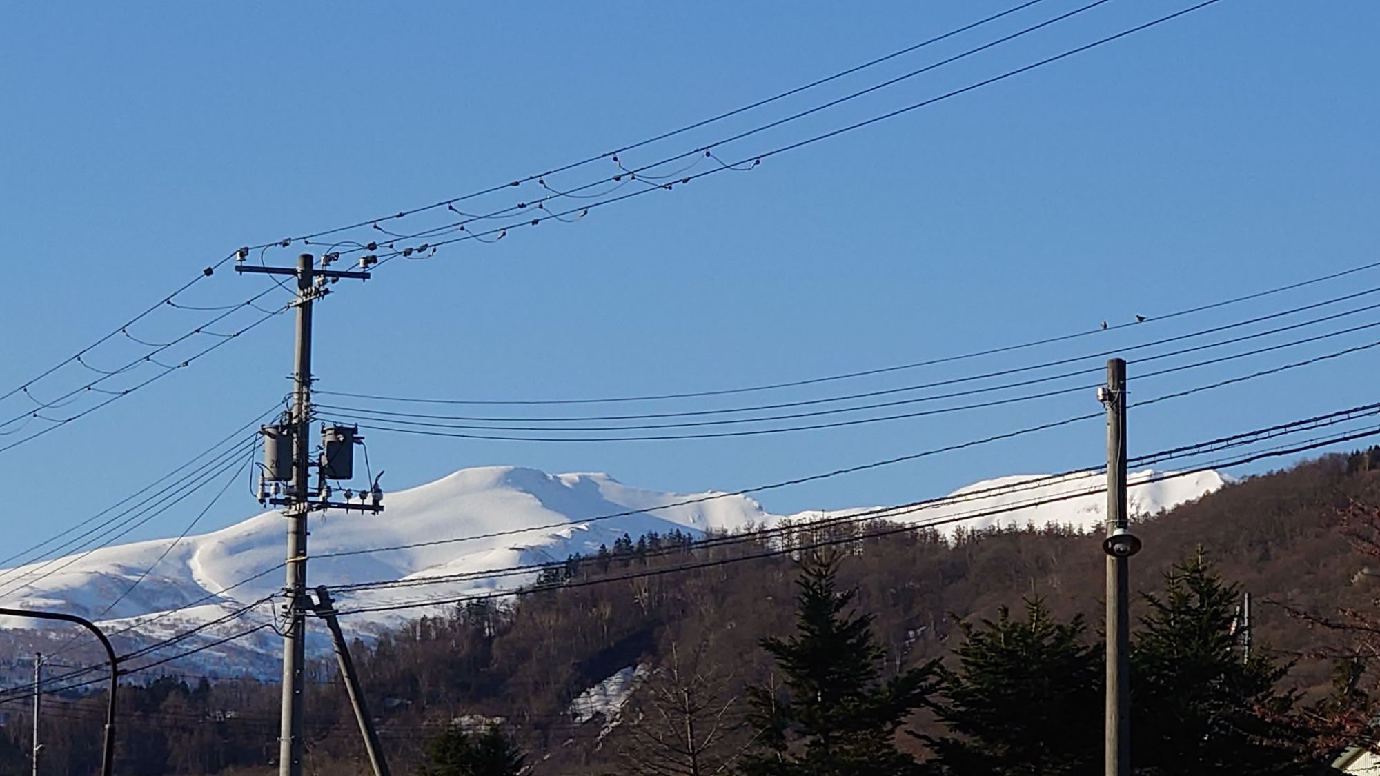 低温の朝４月２５日